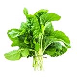 Swiss Chard Green - Exotic