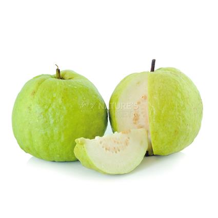 Guava