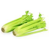 Celery - Exotic
