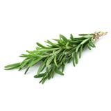 Rosemary - Exotic