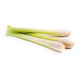 Lemongrass - Exotic