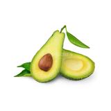 Avocado - Exotic