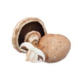 Portabella Mushroom - Exotic