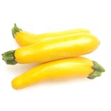 Zucchini Yellow - Exotic