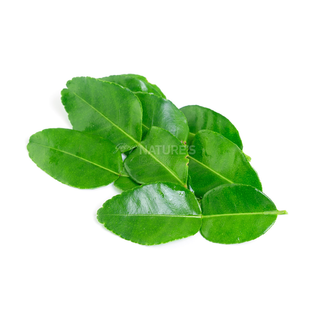 Kaffir lime plant in india