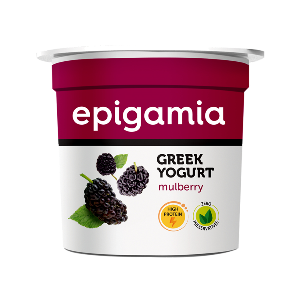 EPIGAMIA MULBERRY YOGHURT 90g naturesbasket.co.in
