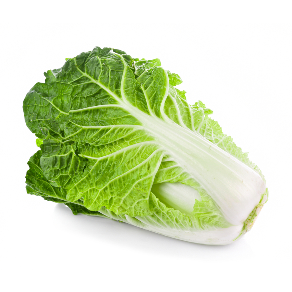 Chinese Cabbage - Mahabaleshwar | naturesbasket.co.in