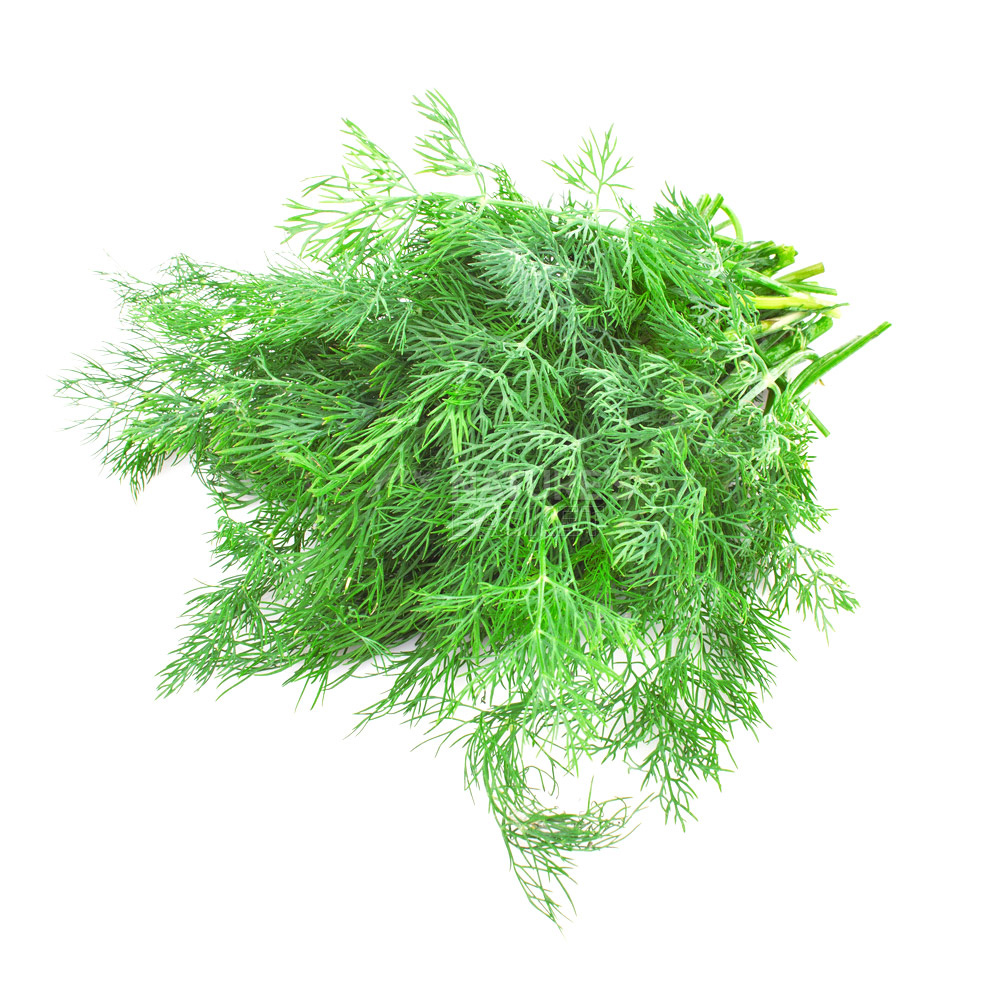Dill/Shepu Buy Dill/Shepu Online of Best Quality in India Godrej