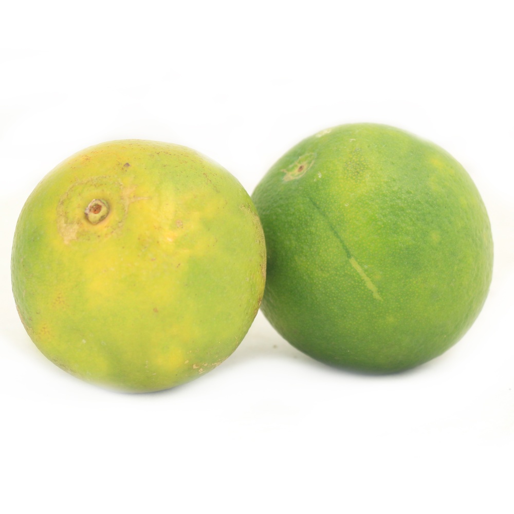 Sweet Lime Buy Sweet Lime Online of Best Quality in India Godrej