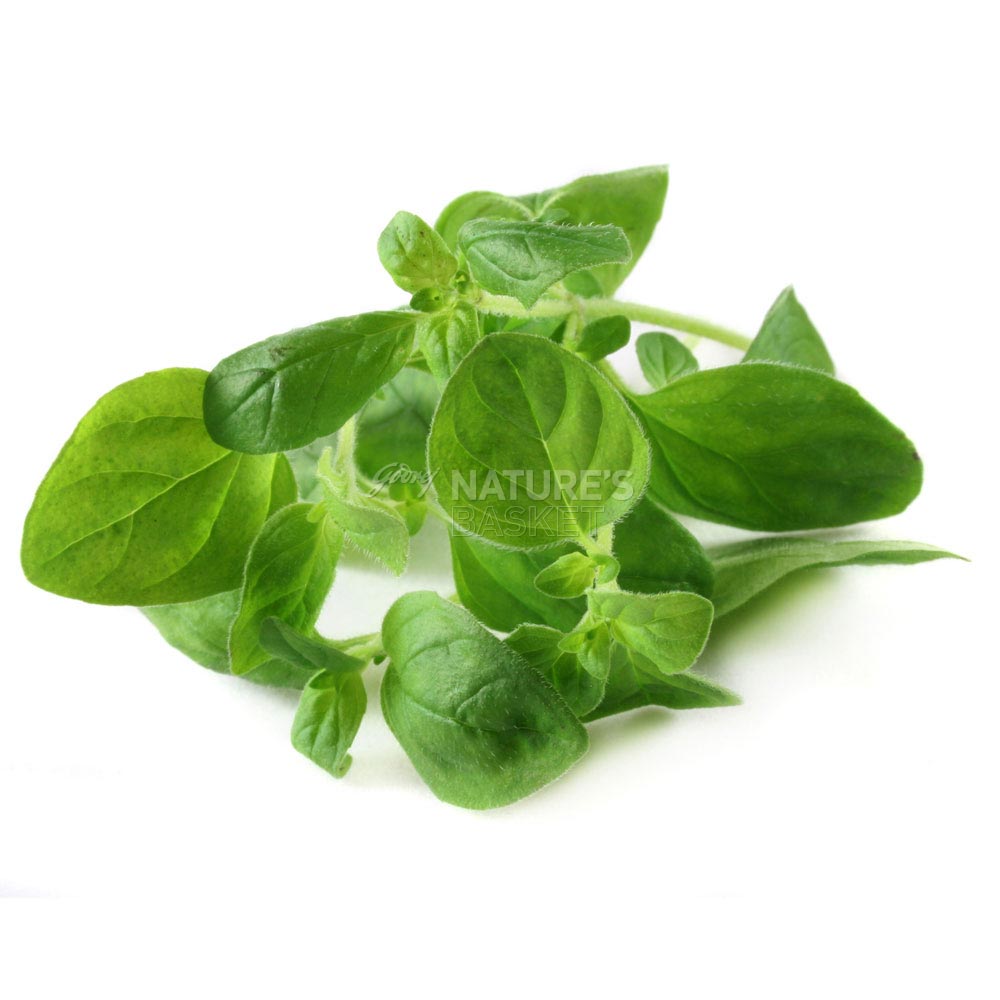 Oregano Buy Exotic Oregano Online of Best Quality in India Godrej