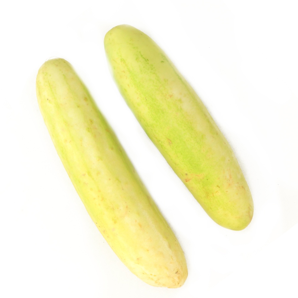 White Cucumber Buy White Cucumber Online of Best Quality in India
