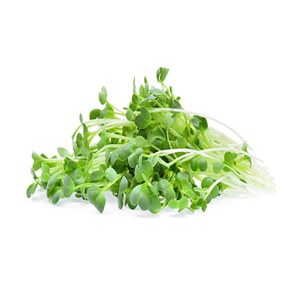 Buy MICROGREENS BROCCOLI Online at Nature's Basket