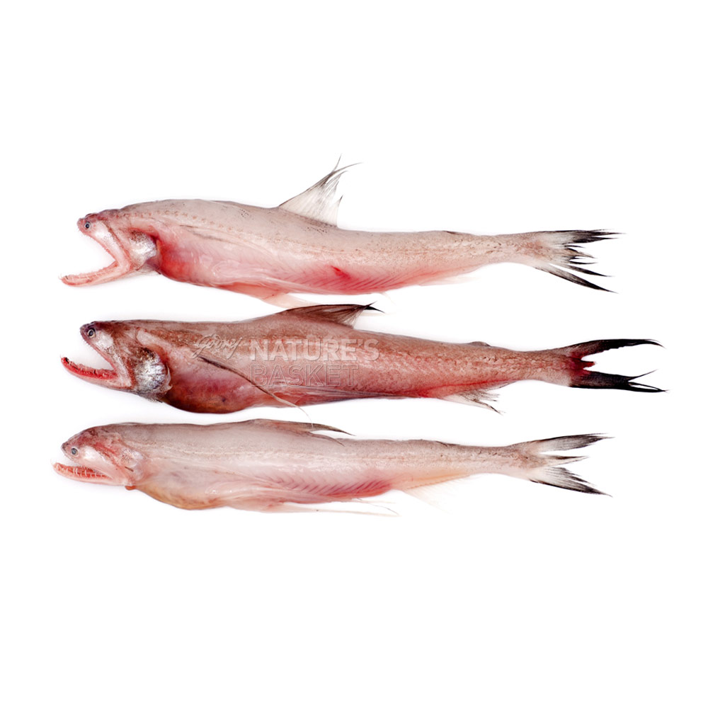 Bombay Duck Fillets Fresh naturesbasket.co.in