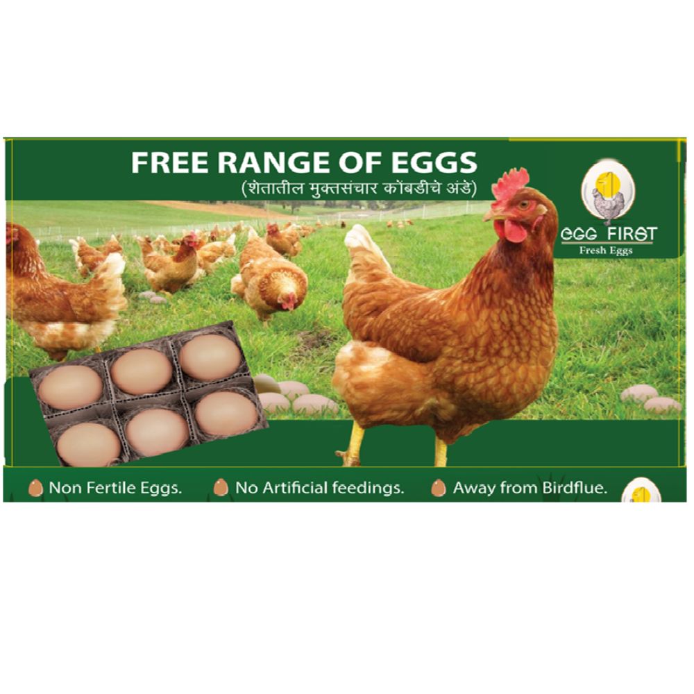 Buy Egg First Free Range Pack of 6 Online at Natures Basket