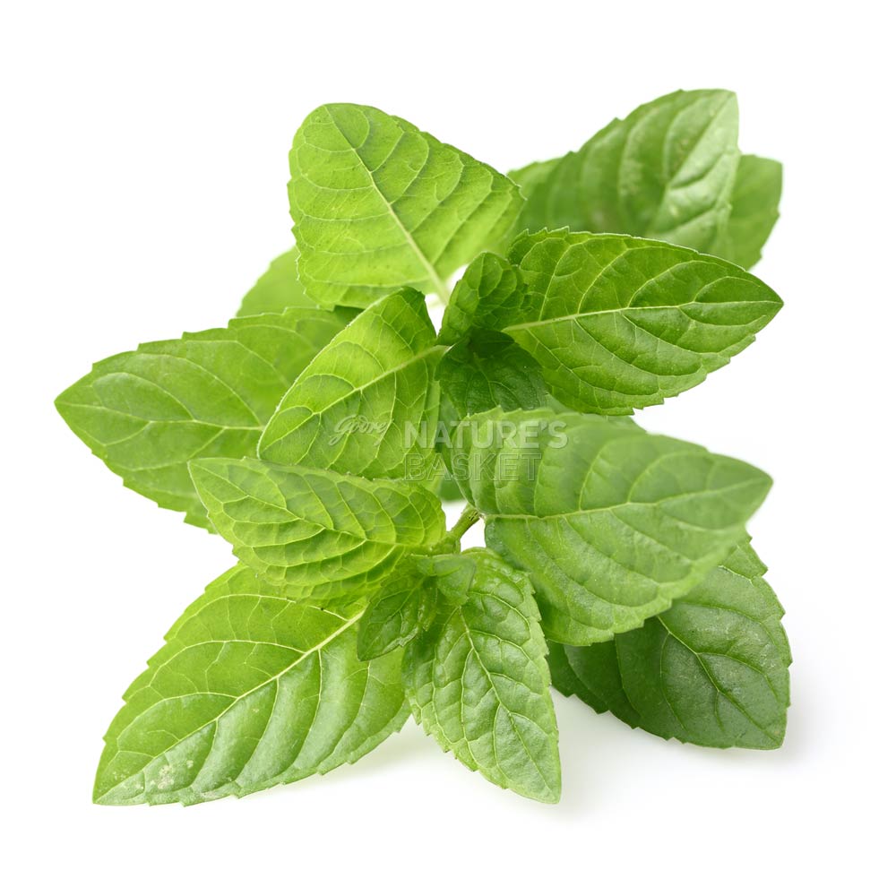 Organic Mint Buy Mint Online at Best Price in India Nature's Basket