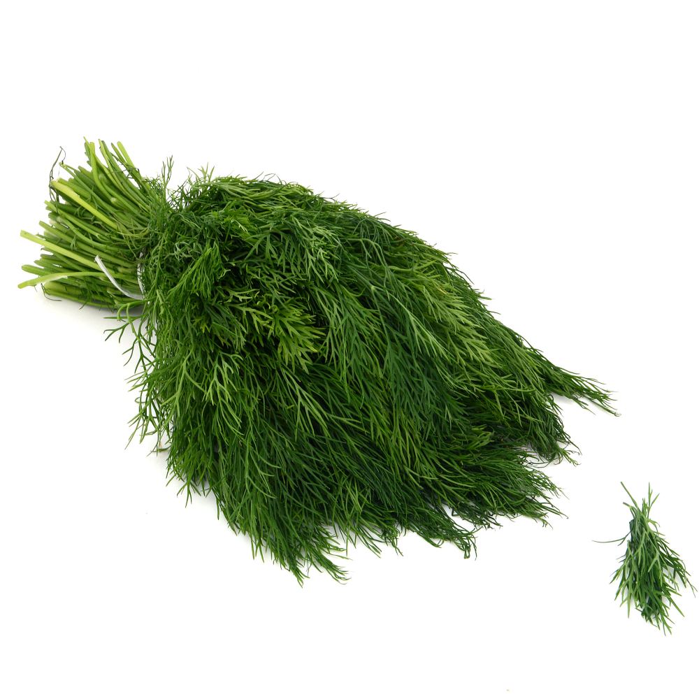 Dill/Shepu Buy Tender Dill/Shepu Online of Best Quality in India