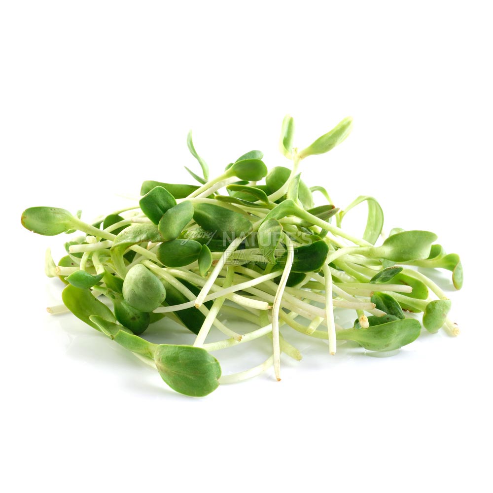 Sunflower Microgreens - Buy Organic Sunflower Microgreens Online of ...