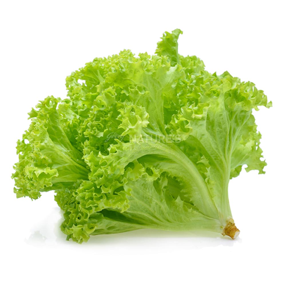 Lettuce Summer Crisp - Buy Lettuce Summer Crisp Online at Best Price in ...