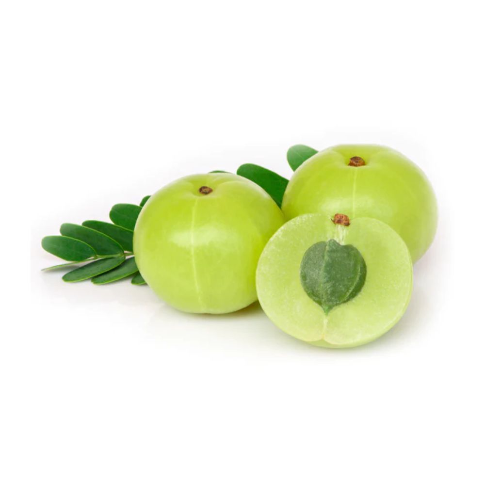 Where Can I Buy Amla Fruit Gooseberry/Amla - Buy Gooseberry/Amla Online of Best Quality in India
