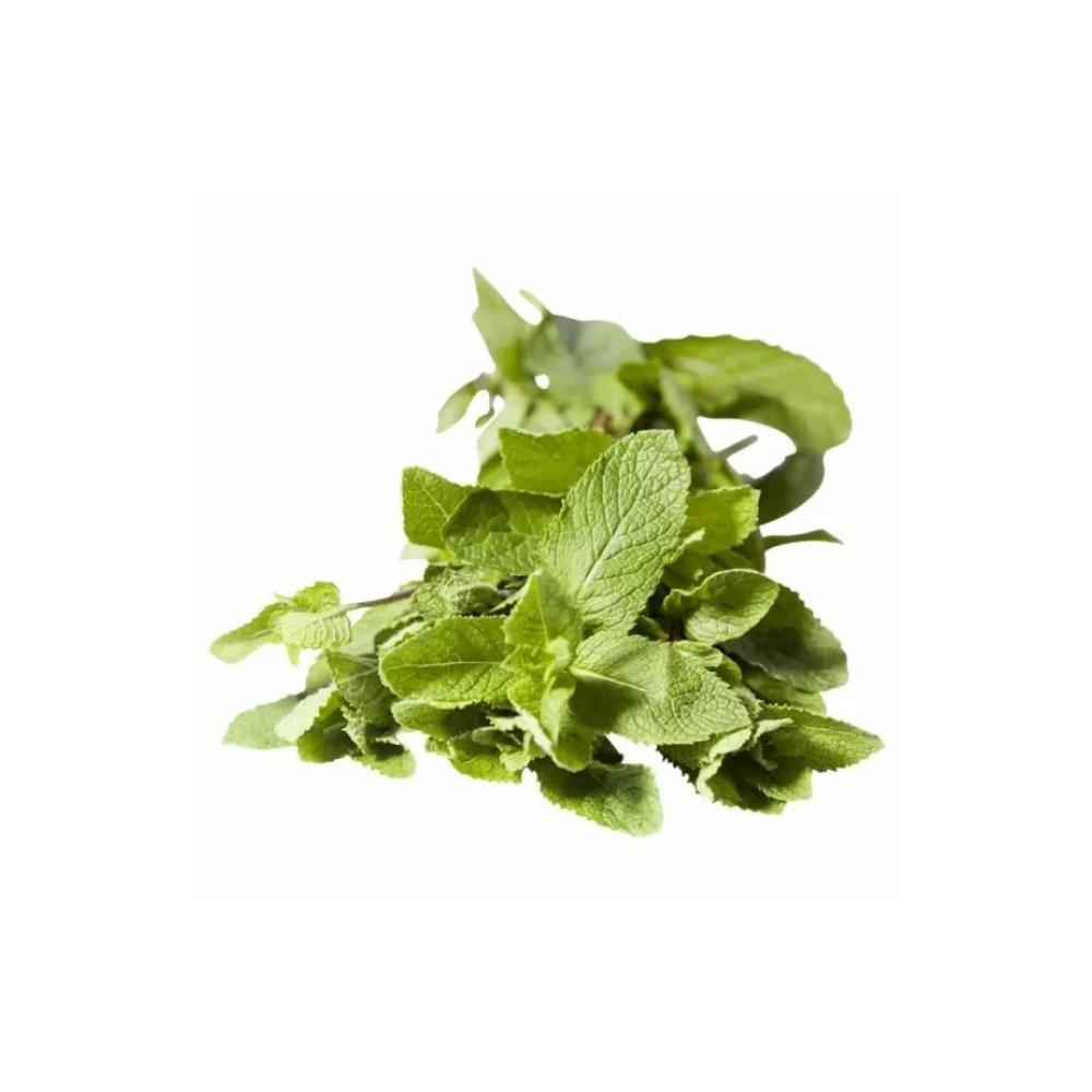 Buy Fresh Mint Leaves, 100g Packet Online at Natures Basket