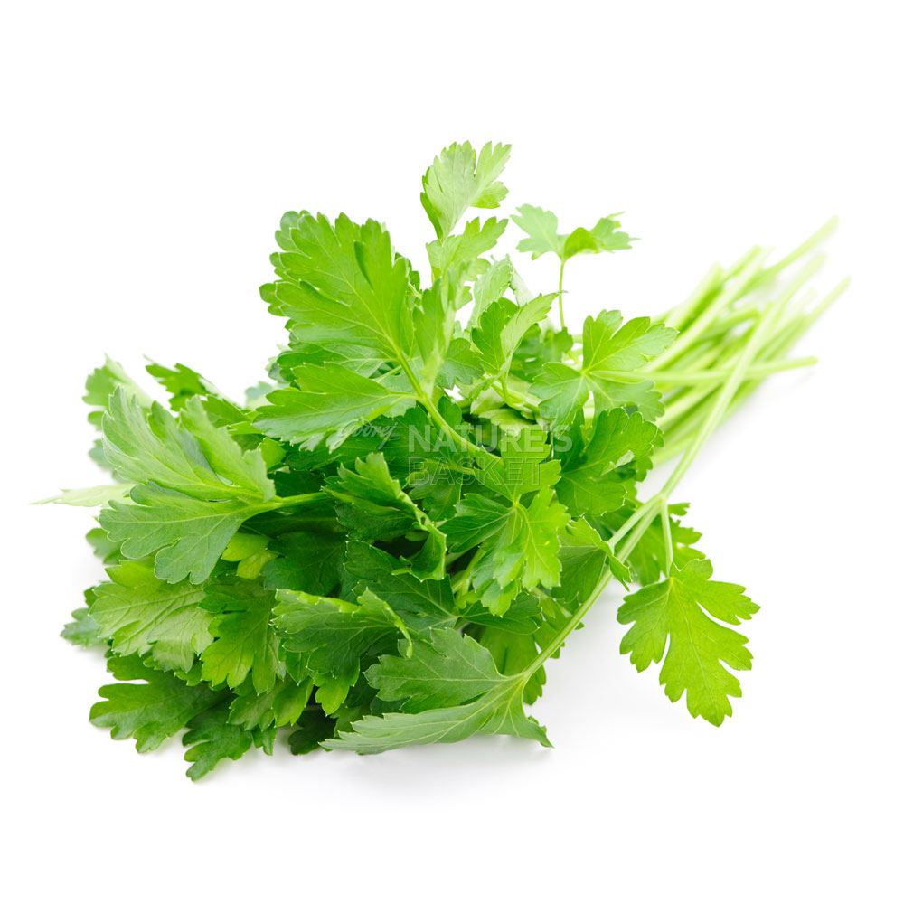 Parsley Flat Buy Exotic Parsley Flat Online of Best Quality in India