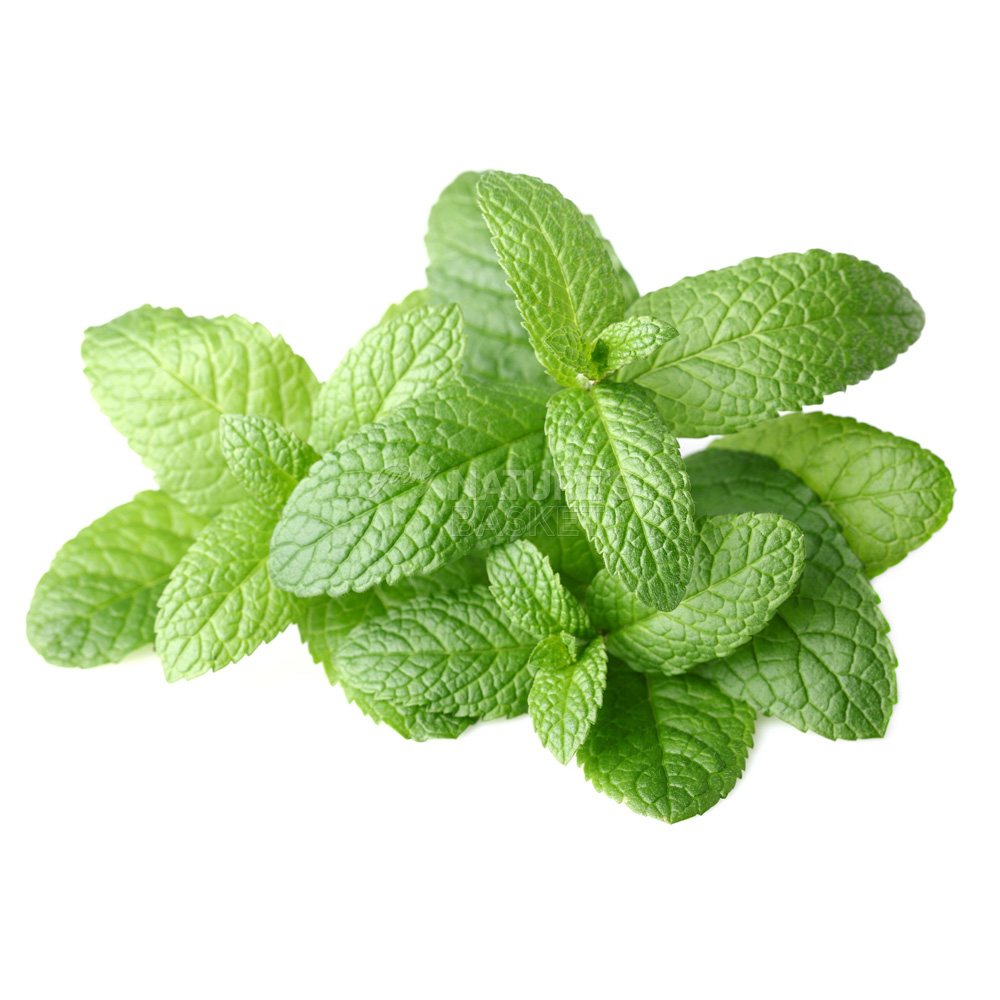 Mint/ Pudina - Buy Mint/ Pudina Online of Best Quality in India ...