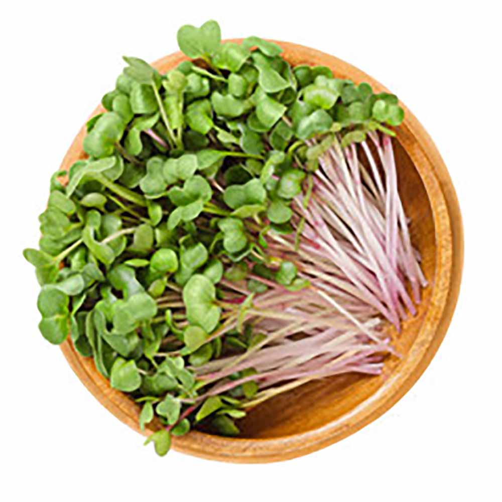 Buy MICROGREENS RADISH PINK Online at Nature's Basket