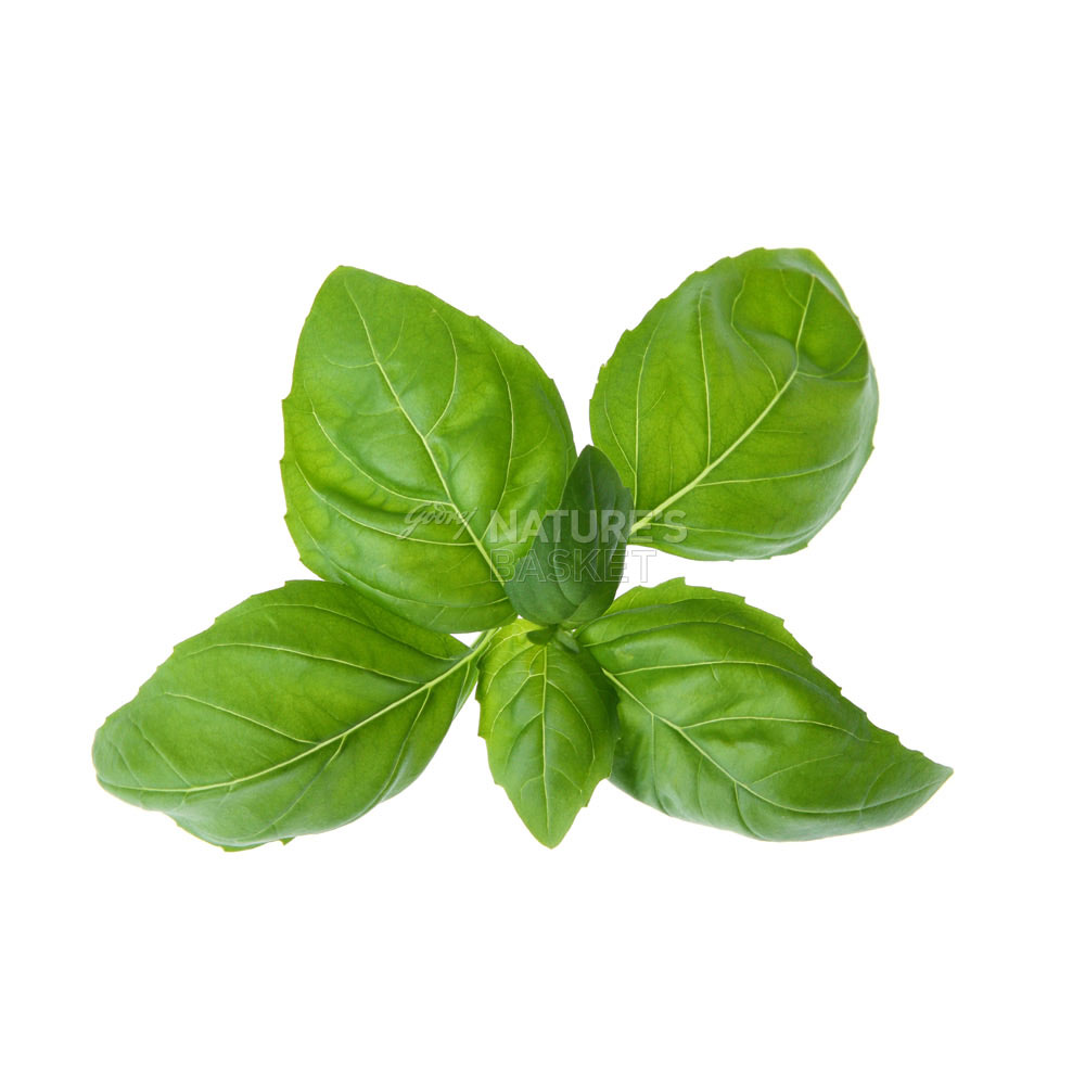 Basil - Organic | naturesbasket.co.in