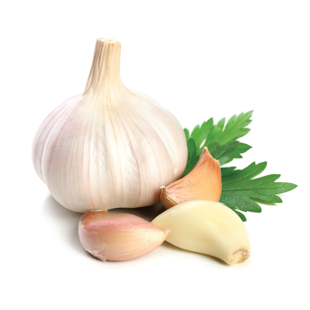 Buy GARLIC AYURVEDIC KG 100G Online at Natures Basket