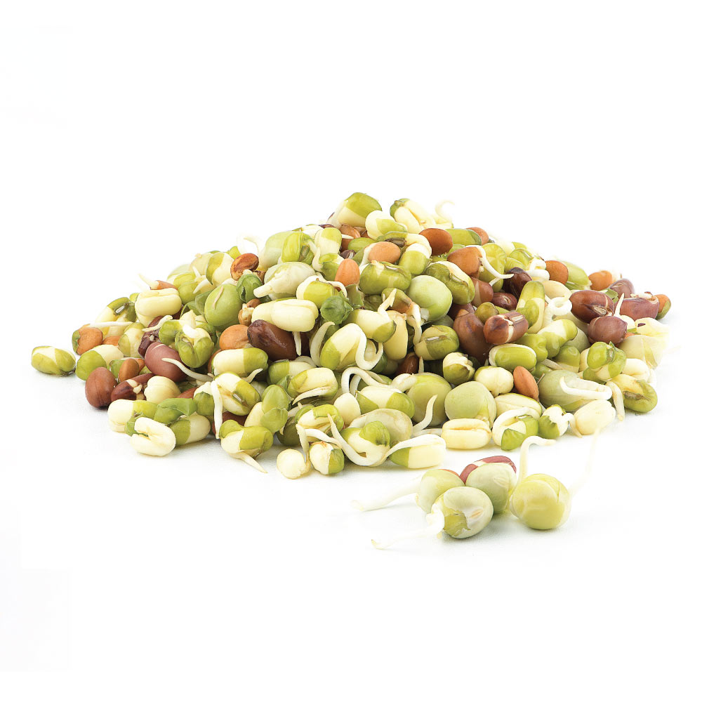 Sprouts Moong Buy Sprouts Moong Online at Best Price in India