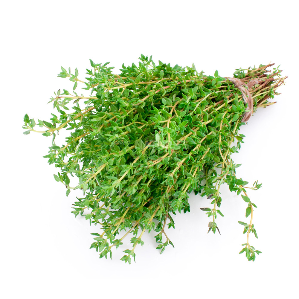 Thyme Buy Exotic Thyme Online of Best Quality in India Godrej
