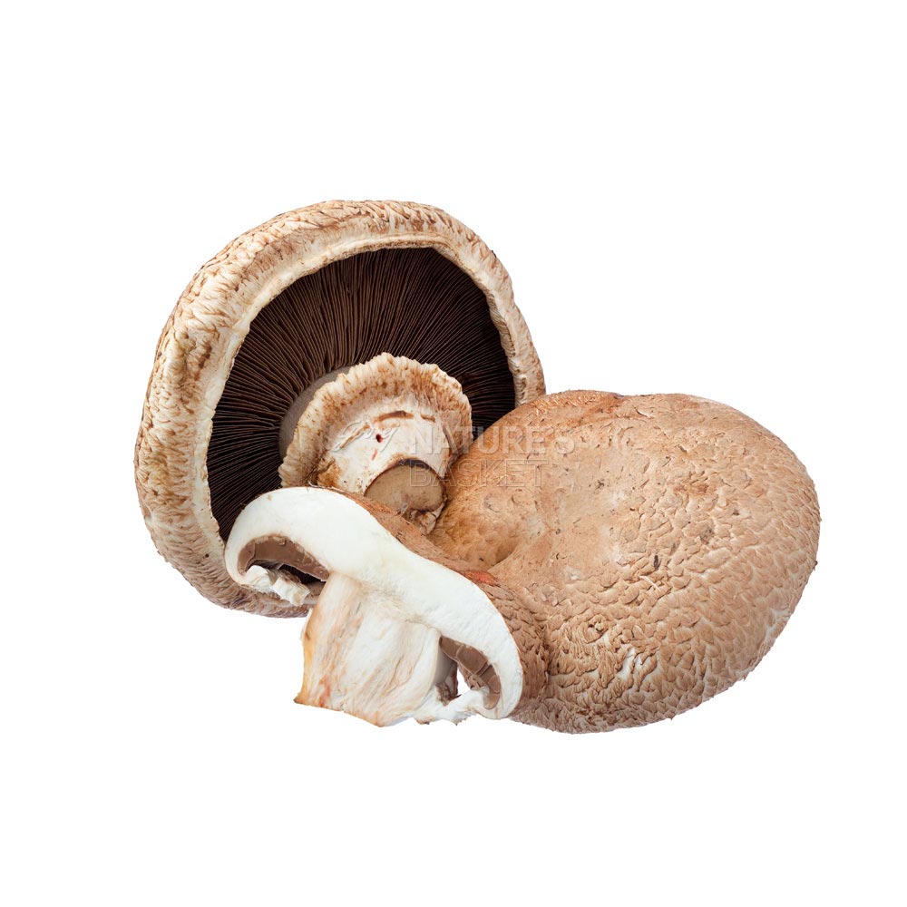 are portobello mushrooms good for dogs