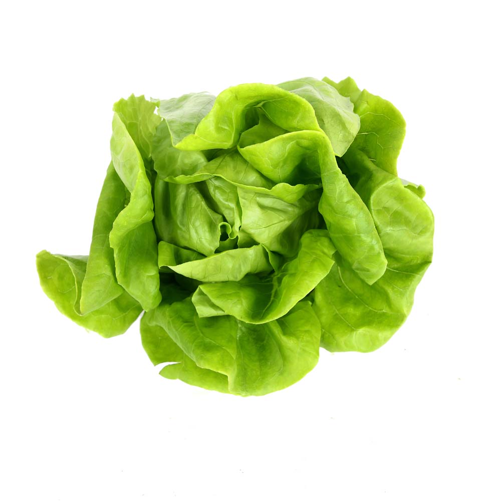 Buy NATURES LETTUCE BUTTERHEAD Online at Nature's Basket