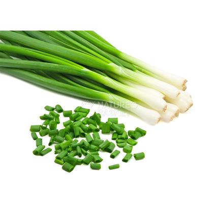 Surati Spring Onion