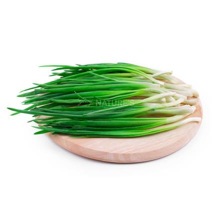 Spring Garlic