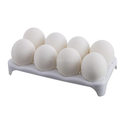 Suguna Nurti Eggs