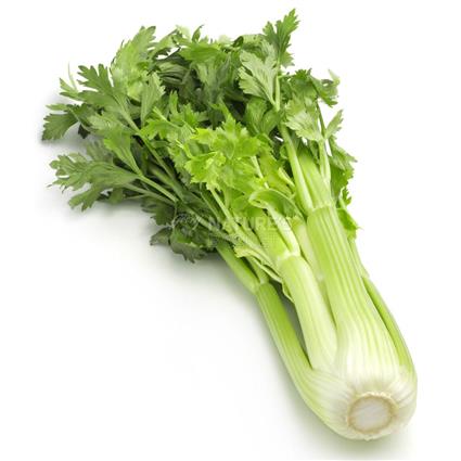 Celery  -  Organic
