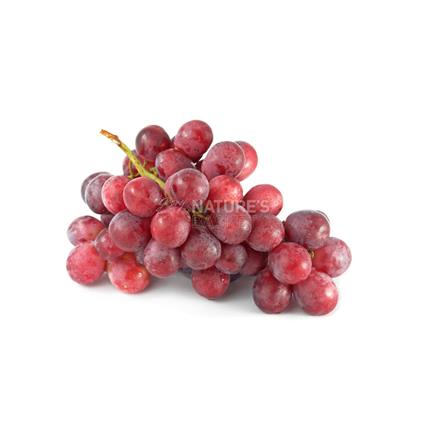Indian Red Globe Grapes
