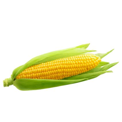 SWEET CORN 2 NO ORGANIC