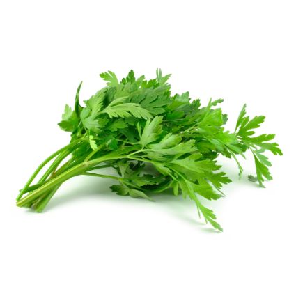 Flat Parsley