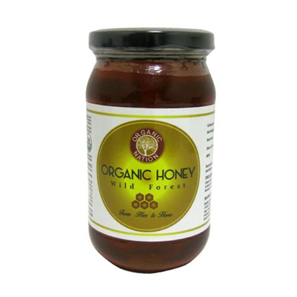 Organic Nation Honey Wild Forest, 500g Bottle