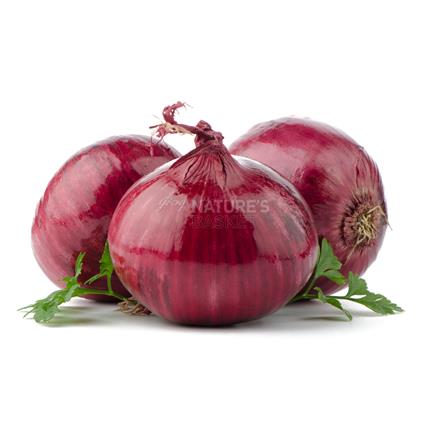 Onion