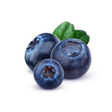 Blueberries Imported Combo Pack (125 Gm*2 Punnets)