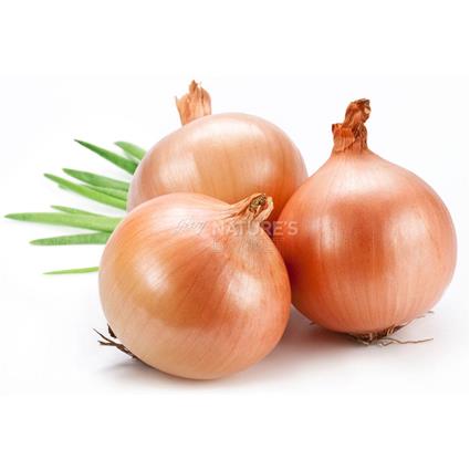 Onion  -  Organic
