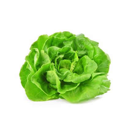 Butterhead Lettuce 100G