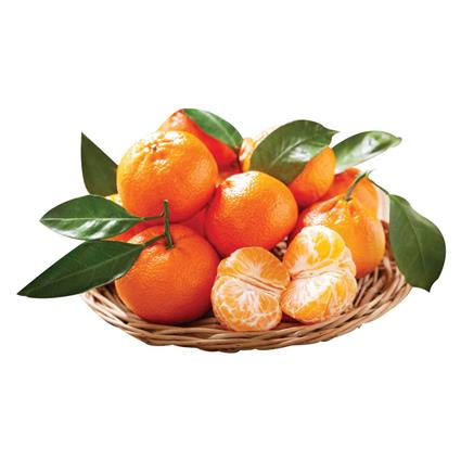 Orange Mandarins Combo