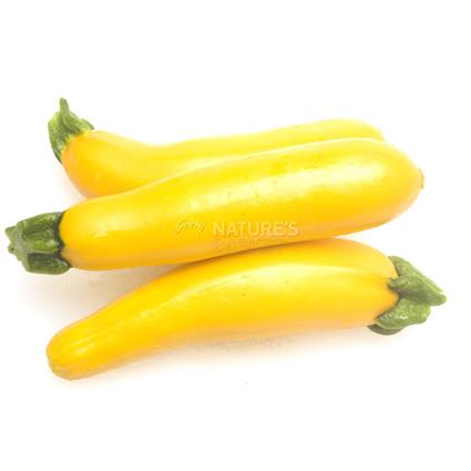 Zucchini Yellow  -  Exotic