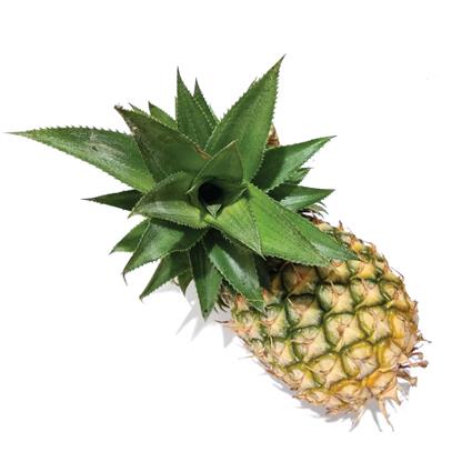 Mini Pineapple 1Pc 400-600G