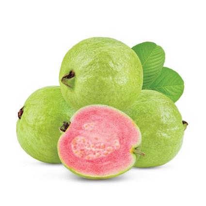 GUAVA RED INDIAN