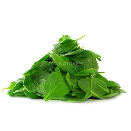 Spinach/Palak - Surti/Tender Vegetable